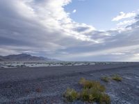 a landscape shows sparse grass and dirt on a flat desert surface under clouds, with hills, mountains, a small rock beach and trees in the distance