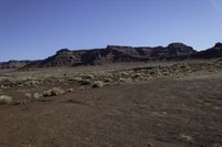 a dry landscape in the desert with arid areas in the background, with sparse green bushes and mountains