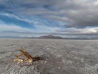 Utah Desert Landscape: Mountains and Salt Lake View