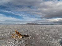 Utah Desert Landscape: Mountains and Salt Lake View