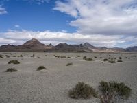 Utah Desert: A Landscape of Mountains and Wilderness