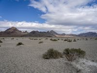 Utah Desert: A Landscape of Mountains and Wilderness