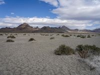 Utah Desert: A Landscape of Mountains and Wilderness