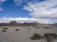 Utah Desert: A Landscape of Mountains and Wilderness