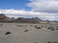 Utah Desert: A Landscape of Mountains and Wilderness