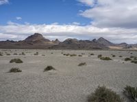 Utah Desert: A Landscape of Mountains and Wilderness