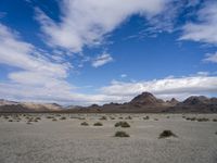 Utah Desert: A Landscape of Mountains and Wilderness