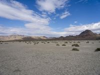 Utah Desert: A Landscape of Mountains and Wilderness