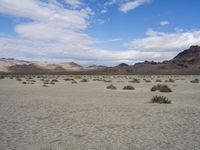 Utah Desert: A Landscape of Mountains and Wilderness