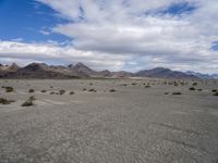 Utah Desert: A Landscape of Mountains and Wilderness