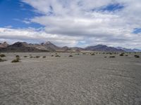 Utah Desert: A Landscape of Mountains and Wilderness