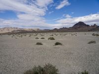 Utah Desert: A Landscape of Mountains and Wilderness