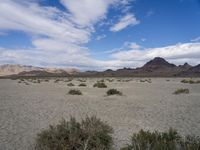 Utah Desert: A Landscape of Mountains and Wilderness