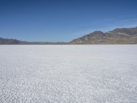 Utah Desert Landscape: Connecting Nature and Serenity