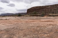 a dirt field with rock in the background and a tree near by to it and a mountain