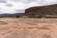 a dirt field with rock in the background and a tree near by to it and a mountain