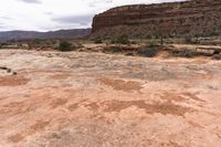 a dirt field with rock in the background and a tree near by to it and a mountain