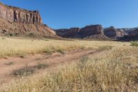 the mountain is brown in color, and the grass is dry for many hours or two