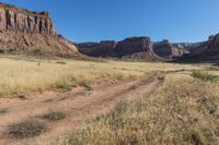 the mountain is brown in color, and the grass is dry for many hours or two