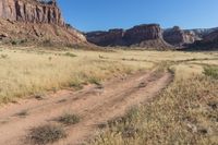 the mountain is brown in color, and the grass is dry for many hours or two