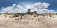 a panorama of the desert with rocks and trees in the sun near the beach where a horse rests