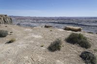 the arid landscape shows a very steep cliff with grass growing on it and shrubs in the foreground