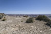 the arid landscape shows a very steep cliff with grass growing on it and shrubs in the foreground