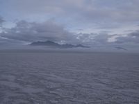 a beach is covered with mud and a low amount of clouds hovers in the background