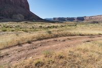 dry grass near a desert landscape and mountains in a beautiful sunny day taken from inside a vehicle window