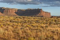 large field with brown plants and red rock formations in the background and blue skies above