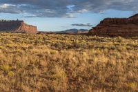 large field with brown plants and red rock formations in the background and blue skies above