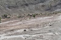 the road is dirty and dirty in the desert as it passes by some mountains