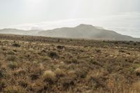 Utah Desert: Red Rock Landscape