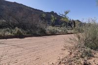 a dirt road in the desert with a mountain in the background with trees in the foreground