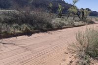 a dirt road in the desert with a mountain in the background with trees in the foreground