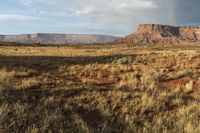 a rainbow over a desert with trees in the distance, and a lone horse grazing