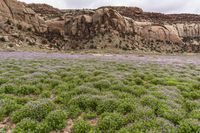 Utah Desert Red Rocks Mountain Landscape 001