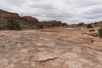 Utah Desert Road in Canyonlands National Park