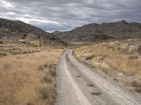 Utah Desert Road: Scenic Nature Views