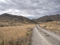 Utah Desert Road: Scenic Nature Views