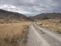 Utah Desert Road: Scenic Nature Views