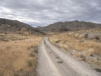 Utah Desert Road: Scenic Nature Views