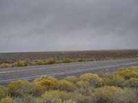 a highway with yellow flowers and clouds in the background and trees on the left side