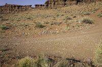 a dirt road is surrounded by shruby vegetation and rocks on a desert landscape near the ocean