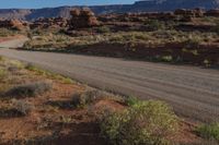 a road is near some red rocks and plants in the wild side of a canyon