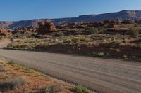 a road is near some red rocks and plants in the wild side of a canyon