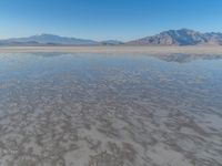 Utah Desert: Salt Lake under a Clear Sky