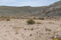 Utah Desert: A Landscape of Sand and Dirt