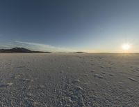 footprints make the dirt of a snowy landscape, and are in the foreground,