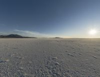 footprints make the dirt of a snowy landscape, and are in the foreground,